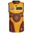 Hawthorn Hawks 2022 Mens Indigenous Guernsey