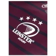 Leinster Alternate Jersey 2019-20