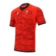 Welsh Rugby 2021 Training Jersey