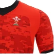 Welsh Rugby 2021 Training Jersey