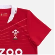 Welsh Rugby Kids 2021-22 Home Kit